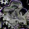 ski's profile picture