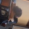 Profilbild von ilhan