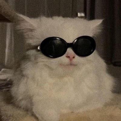 BamBamFan_'s profile picture