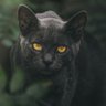 Фото профиля francisco