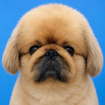 wsCViXlBh9z4ppR's profile picture
