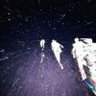 Ghosted🕷️ profil fotoğrafı