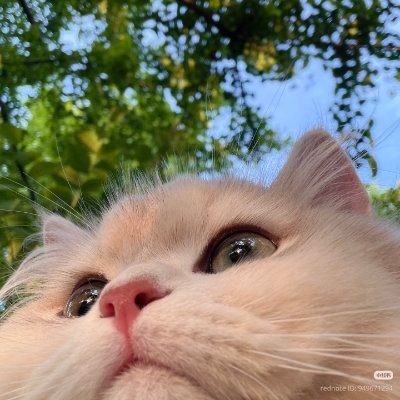 Millielyn_n's profile picture