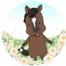 zuno@馬と野球の為に鍛えるわ's profile picture