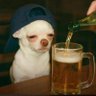 Profilbild von Captain