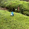 Norio🌱 的头像