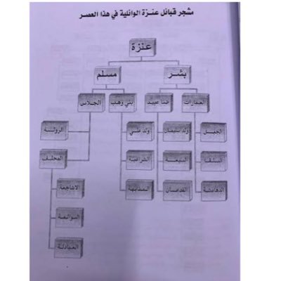 abna_wayil's profile picture