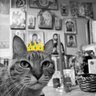 Фото профиля SophiaJP