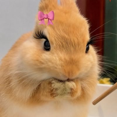 모기's profile picture