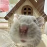 Profilbild von Candyman