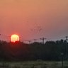 Фото профиля Sunuva