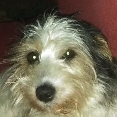 Gabriel Garrotxa ‼️⭐️‼️.'s profile picture