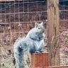 Lester profil fotoğrafı