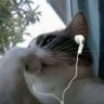 LoKI👽 profil fotoğrafı