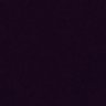 Z's profile picture