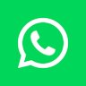 WhatsApp 的头像