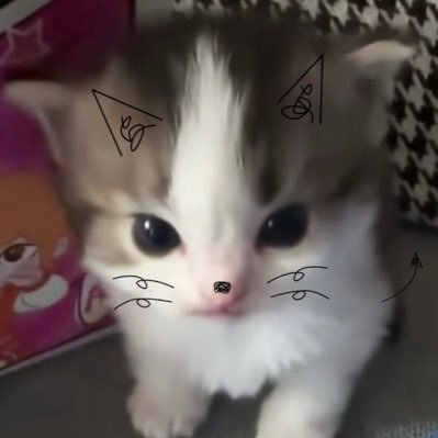 Maybe_loyalty's profile picture