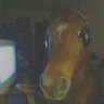 Profilbild von RandomBoyo