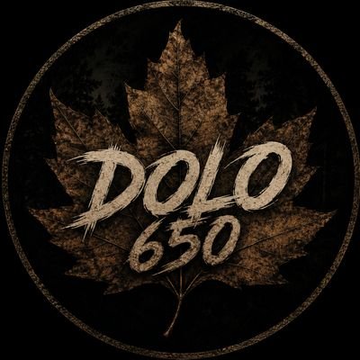 koshurambur's profile picture