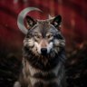 Furkan Güven 的头像
