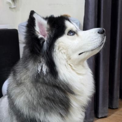 bej1013's profile picture
