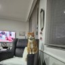 H.Ümit Terzioğlu's profile picture