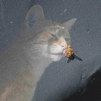 queenofoversharing's profile picture