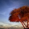 s1. profil fotoğrafı