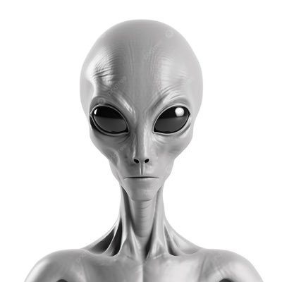 BoduFan's profile picture