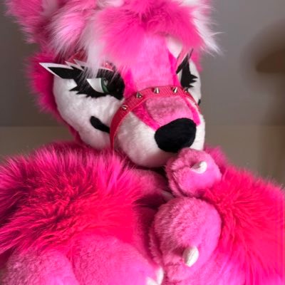 prettifox's profile picture
