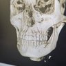 Фото профиля Knuckledragger