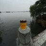 瑞安Ryan's profile picture