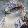 flah profil fotoğrafı