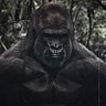 M&ttuz's profile picture