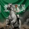 🇸🇦 Turki | تُركيّ 🇸🇦's profile picture
