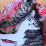 ruri profil fotoÄrafı