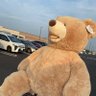 田んぼ's profile picture