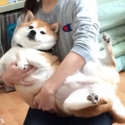makiko56's profile picture