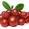 Profilbild von SpicyLingonChutney