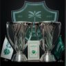 🇸🇦💚's profile picture