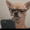 Profilbild von D Y C