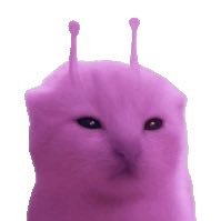 logan's profile picture