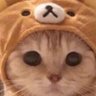Фото профиля ささかまぼこ
