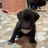 พงษ์เทพ profil fotoğrafı