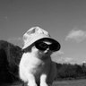 Bels's profile picture