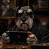 Grumpy Schnauzer's profile picture