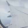 Cessna Love's profile picture