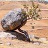 أبوتركي المصتسعاوي 的头像