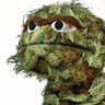 GROKMOON profil fotoğrafı