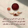 💖💖ابو مصعب زرقاوی💖💖 的头像